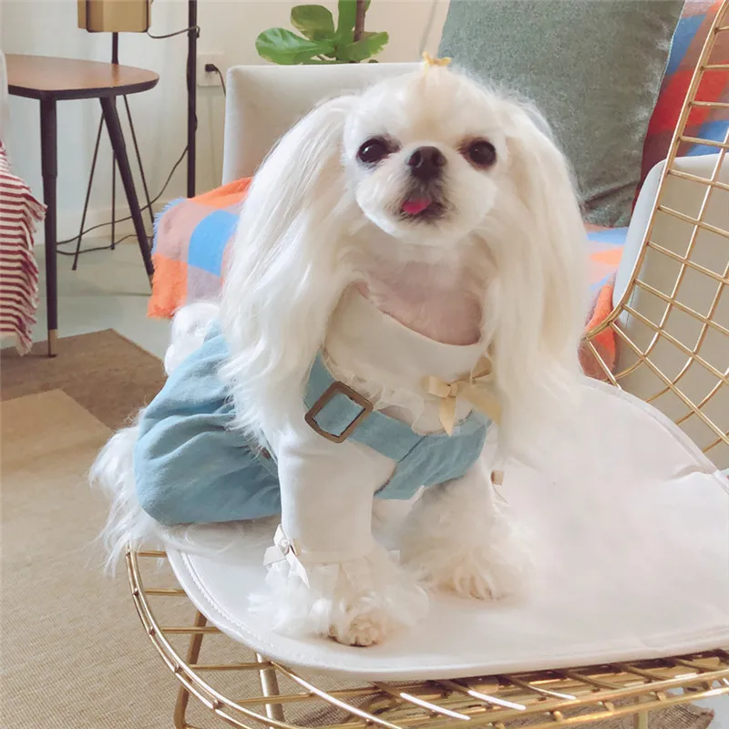Весенне осеннее платье для собаки джинсовая юбка Одежда кошек и щенков Чихуахуа