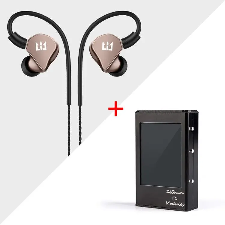 Zishan T1 двойной AK4493EQ DSD MP3 плеер Профессиональный без потерь HiFi портативный MP3 плеер твердое решение сбалансированный усилитель Z2 Z3 - Цвет: T1 With TRI I4 Brown