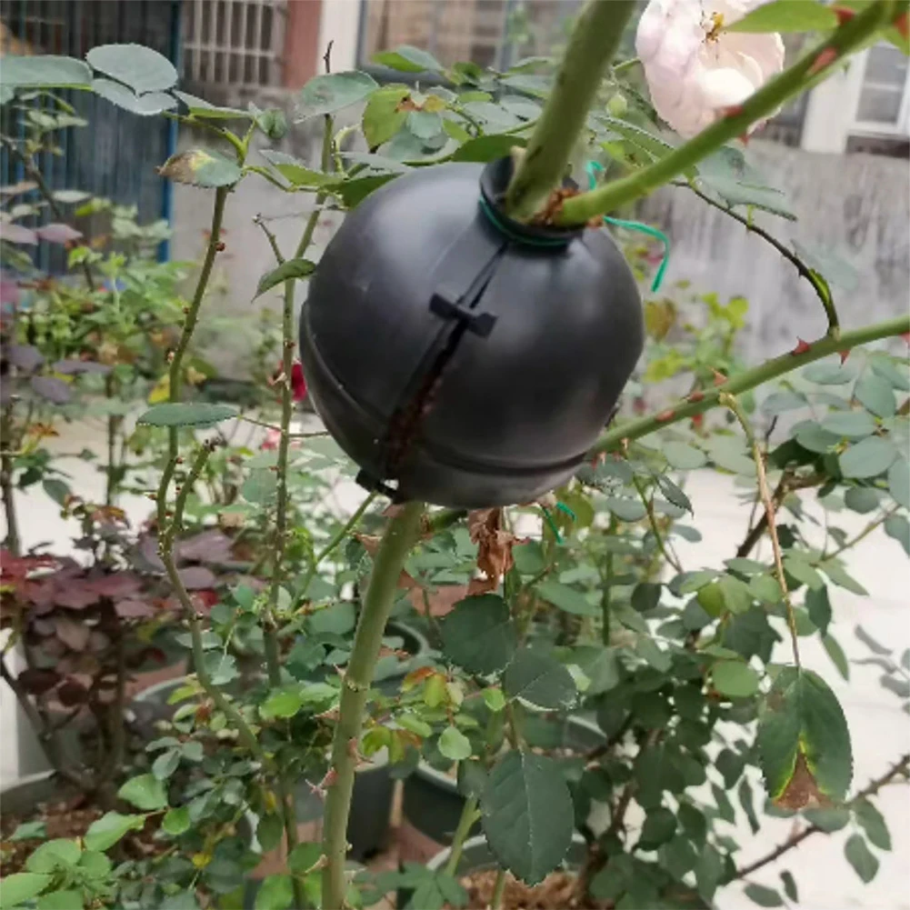 

New 5pcs Plant Rooting Ball Plant Root Growing Box Grafting Rooting Growing Box Breeding Case For Garden