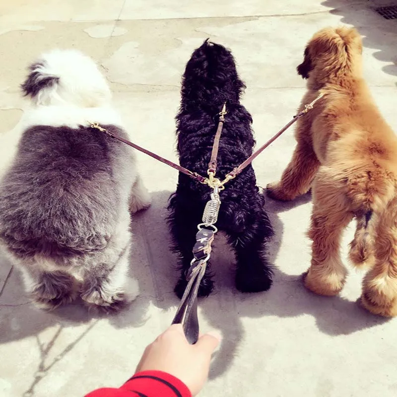 Не запутывается двойная сцепка для поводков собак съемный из натуральной кожи