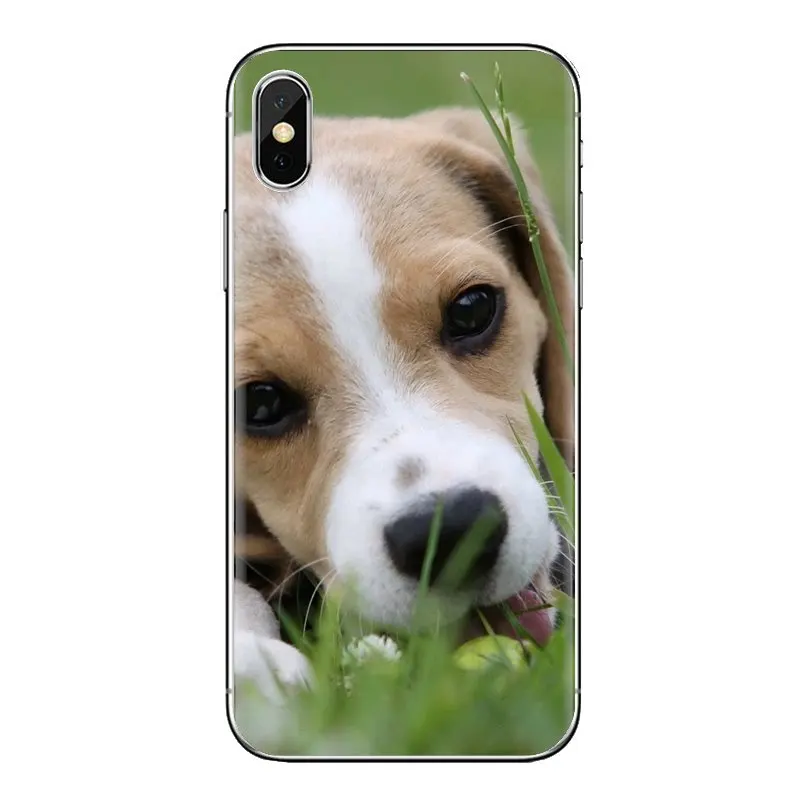 Собака породы Бигль Щенок прозрачный мягкий чехол Чехлы для Samsung Galaxy J1 J2 J3 J4 J5 J6 J7 J8