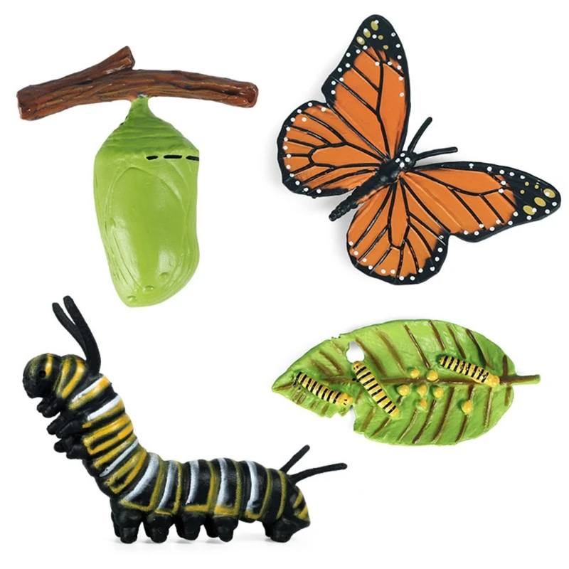 

40JC 2021 Plastic Animals Life Cycle Model Figures Growth Cycle Science Toys