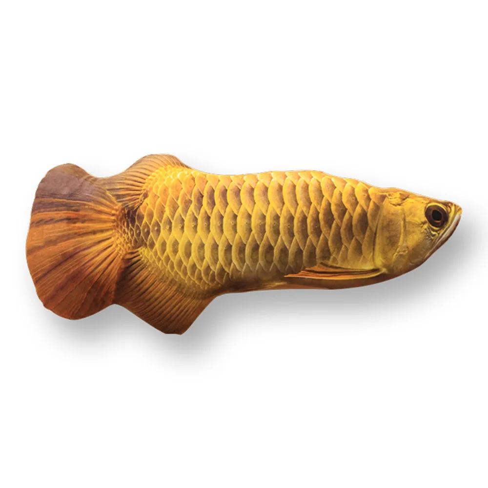 Игрушка-подушка в форме рыбки, плюшевая кошка, рыба, кошка, Жевательная кошка, Когтеточка, плюшевая, креативная, 3D, в форме рыбки, для кота, игрушка для кота - Цвет: Golden arowana