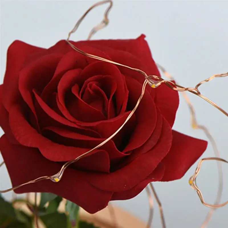 Красная роза Красавица и Чудовище светодиодный светильник кой на стеклянном