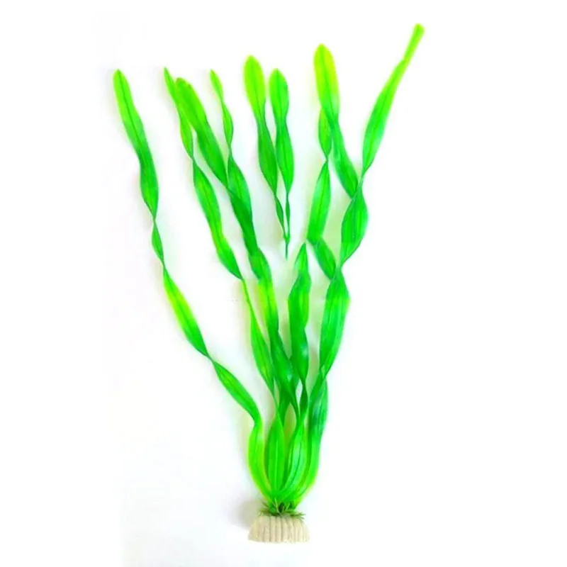 Аквариум большие водные аквариумные растения для воды озеленения рыбы