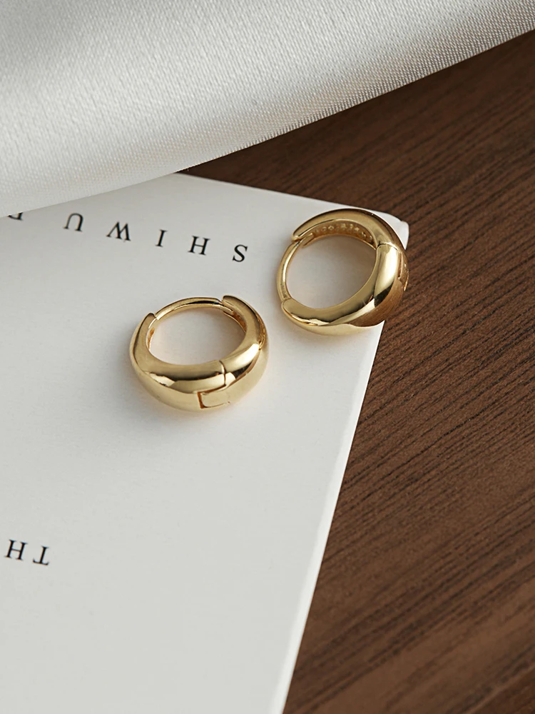 

Brass With 18K Gold Simple Cute Earrings Punk Party Gown Runway T Show Gothic Rare Korean Japan INS Boho Classic Top Trendy