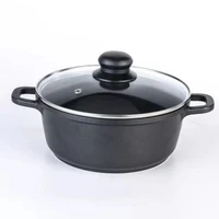 thick soup pot non stick pot special pot soup pot home hot pot baby food supplement pot noodle pot induction cooker universal
