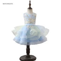 blue lace appliqued flower girl dress embroidery princess pageant dress little children wedding party ball gown for 2 12 years