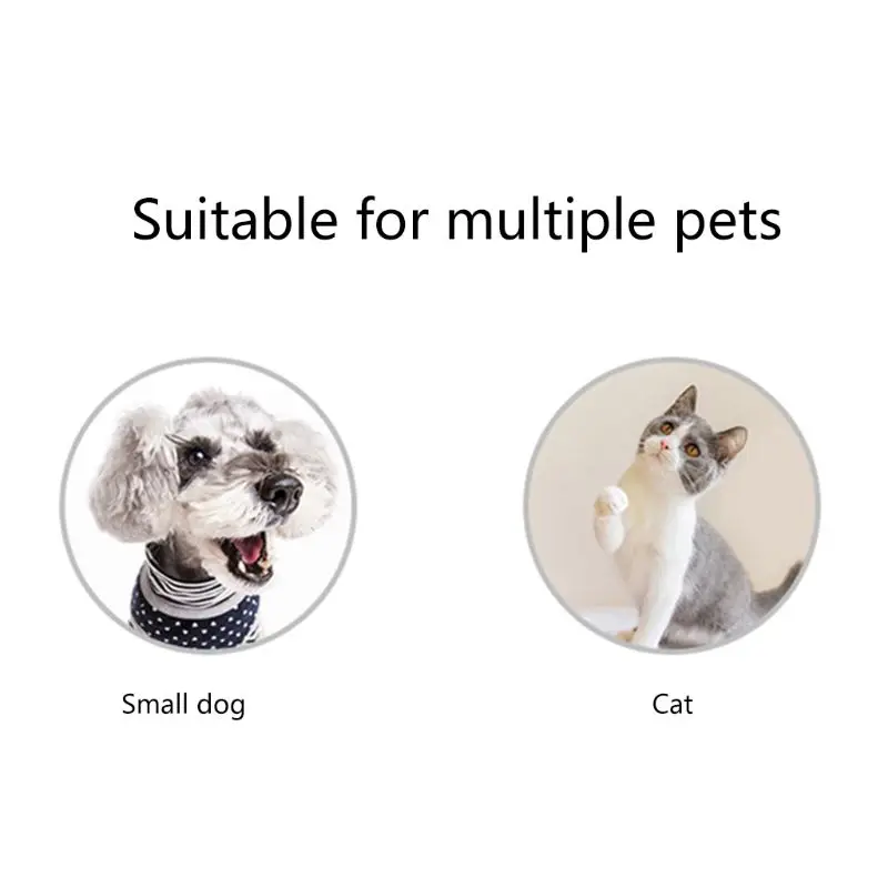 

2021 Gradient Diamond Bell Pet Collar Dog Collar for Dogs Easy Wear Adjustable Safe Puppy Cat Collars for Small Medium Large Pet