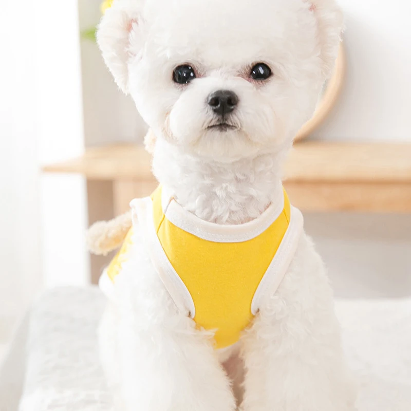 

Pet Cat Costumes Dog T Shirt Summer Dog Clothes for Small Dogs Chiuhahua Yorkshire Bichon Poodle Schnauzer Vests Clothing
