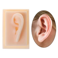human soft silicone left ear model life size acupuncture study practice tool teaching resources for medical science
