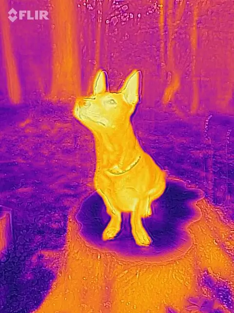 Инфракрасная Термография Flir Lepton 3 5 0 с поддержкой Raspberry PI OpenMv4 | Инструменты