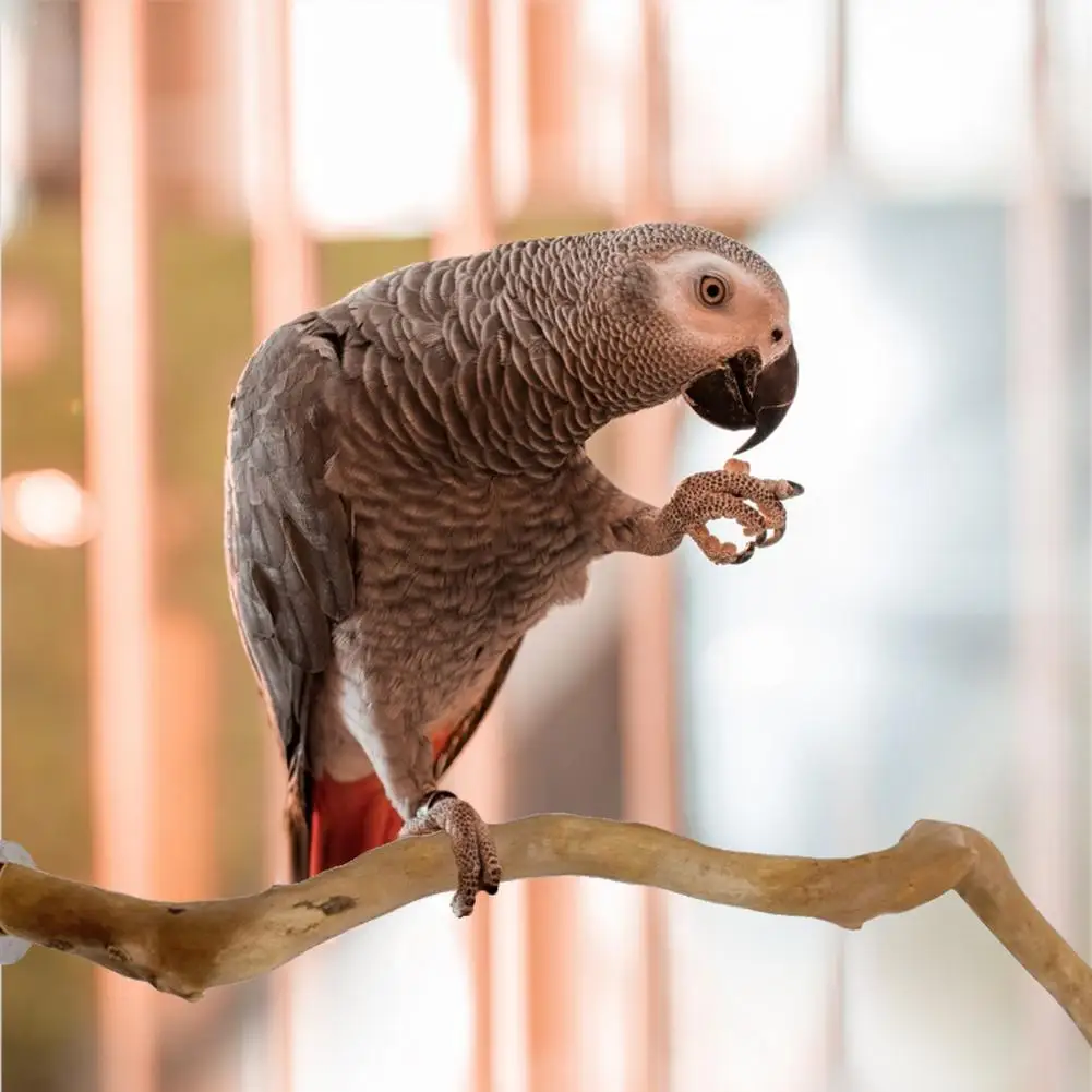 

Wooden Bird Stand Stick Parrot Toy Bird Cage Accessories Bird Perch Natural Grape Bird Cage Perch For Parrot Cage Toy