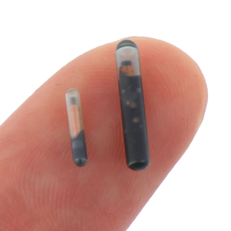 125 кГц/134 2 кГц 12*12 мм/1 25*7 мм микрочип животных RFID тег с EM4305 чип ISO11784/5 FDX B для рыб