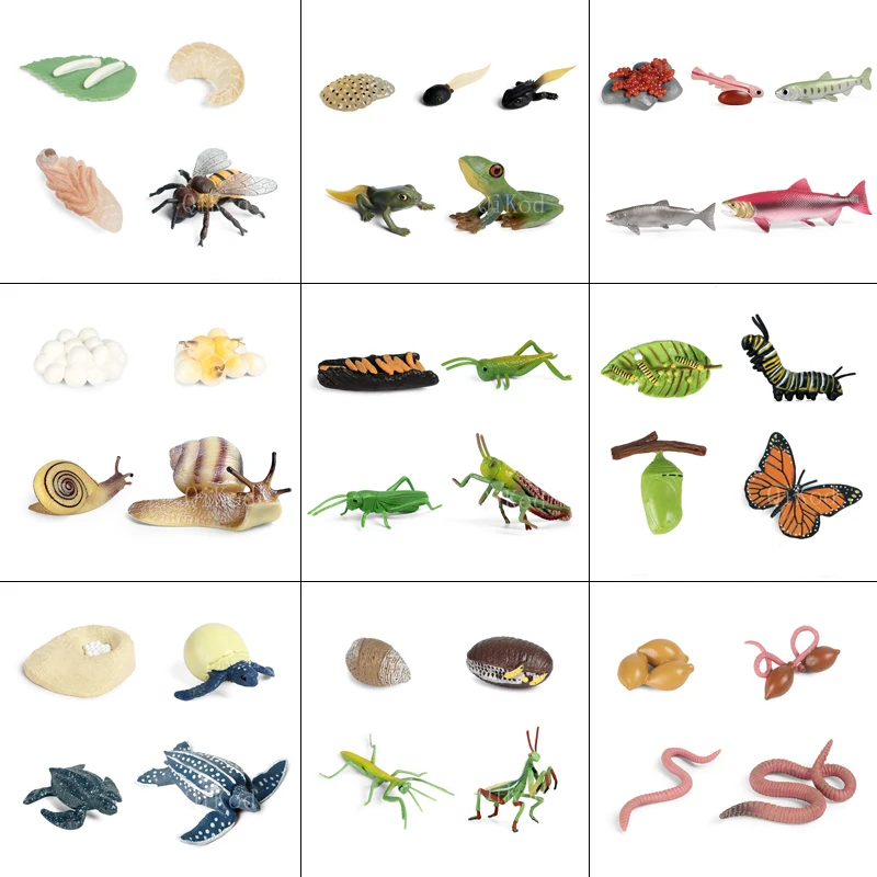 Моделирование животных модель с циклом роста экшн фигурка на петух земляной