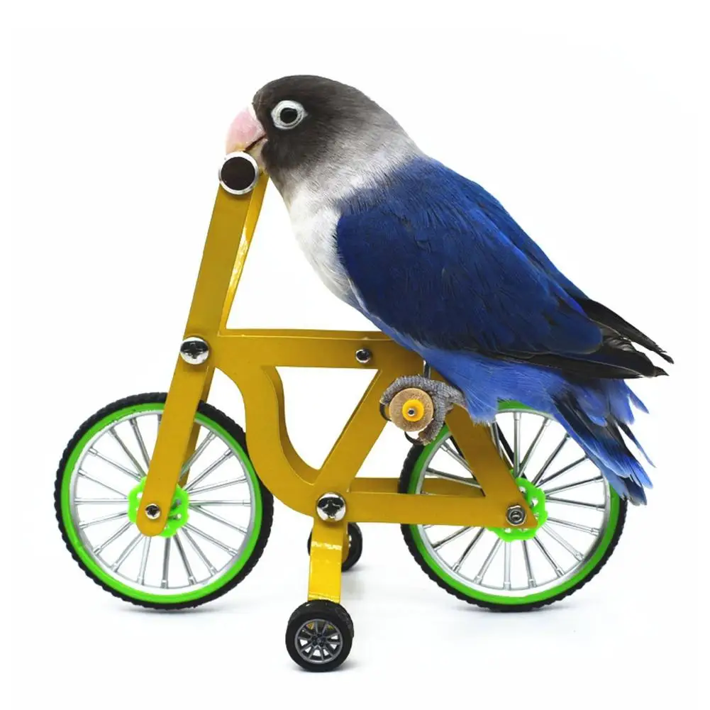 

Bicycle Parrot Supplies Equipment Parrot Bicycle Parrot Toy Bird Toy For Parrot Pet Accessories Parrot Educational Toy