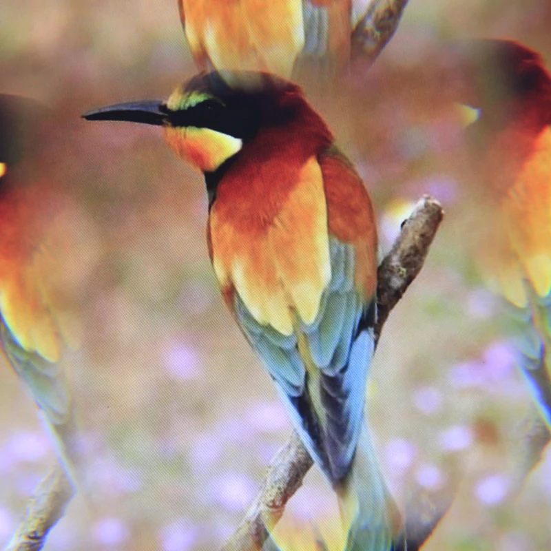 Фрактальный фильтр для фотоаппарата специальные эффекты 4 + 1 Аксессуары