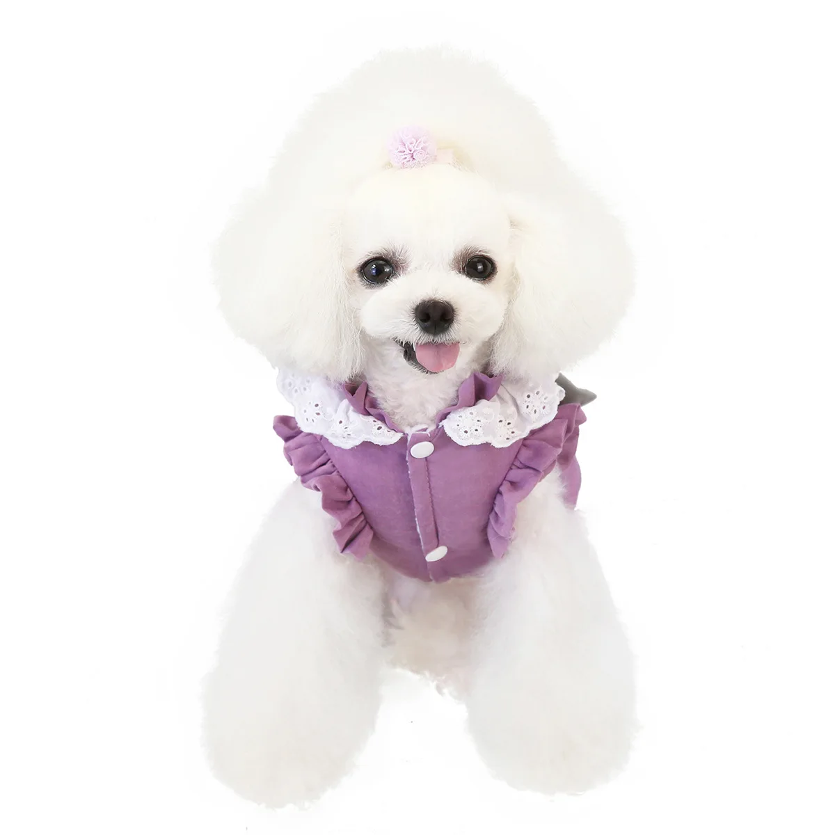 

Warm Dog Clothes For Small Dog Pet Dog Coat Jacket Clothes Puppy Outfit Yorkie Chihuahua Clothes