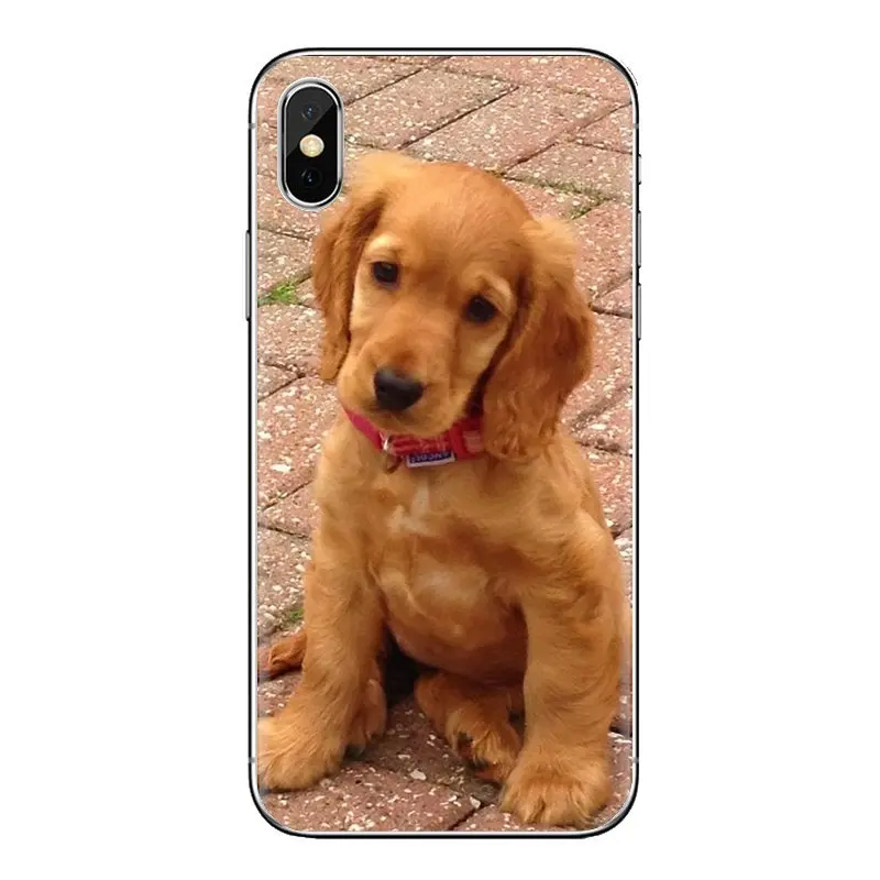 Cocker Spaniels dog puppies Poster For Samsung Galaxy J1 J2 J3 J4 J5 J6 J7 J8 Plus 2018 Prime 2015 2016 2017 Soft TPU Phone Case |