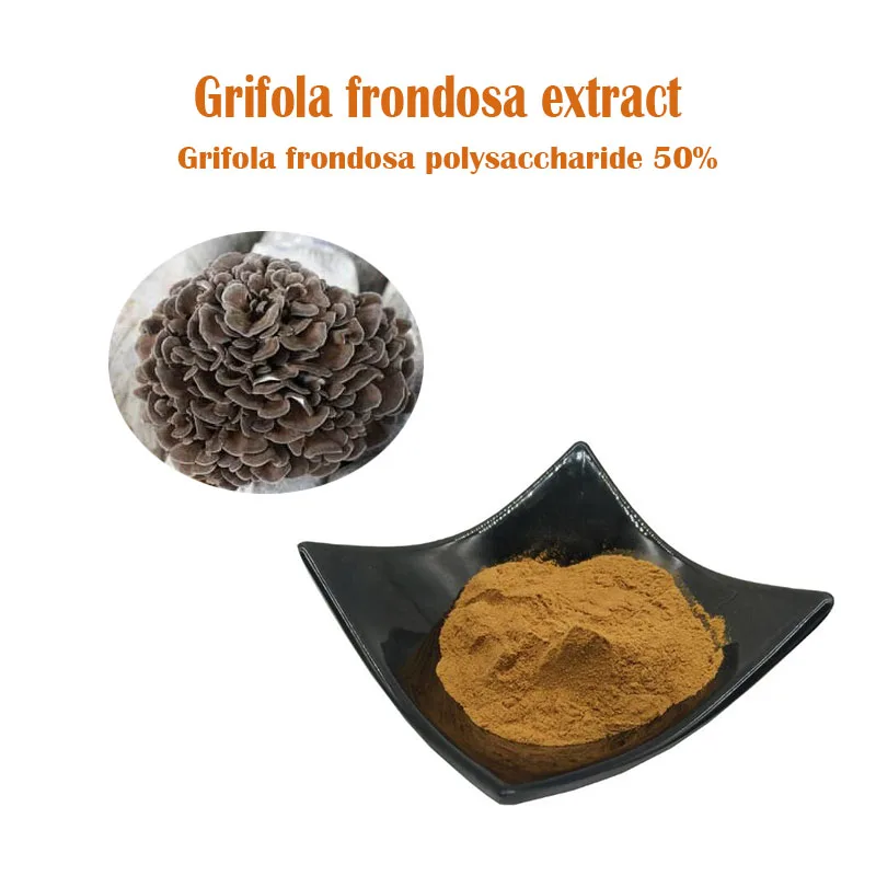 

Natural Grifola frondosa extract, 50% of Grifola frondosa polysaccharide content, Maitake,anti-aging, enhance memory