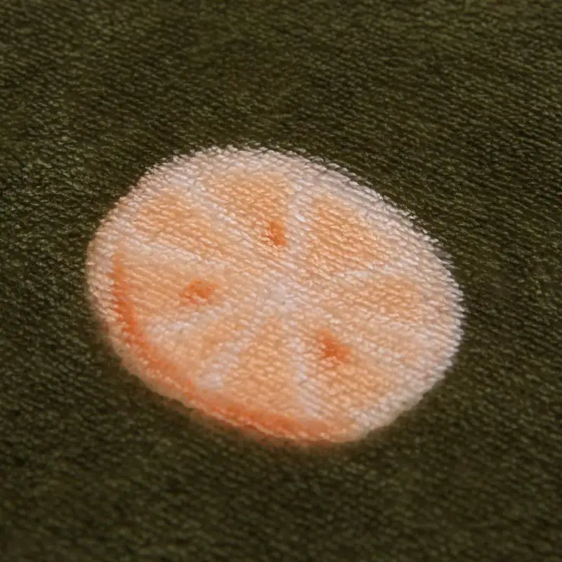 

Soft Warm Coral Fleece Blanket Winter Sheet Bedspread Sofa Green Throw 200Gsm 12 Size Light Thin Mechanical Wash Flannel Blanket