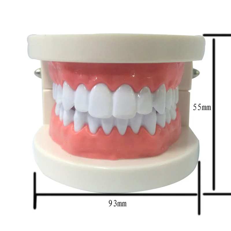 ABS PVC Dental Model Oral Instrument Tools Consumables Tooth Decay Medical Care Teaching Aids Teeth | Канцтовары для офиса и