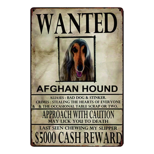 Шиба ину/Французский бульдог/Beagle/Grayhound собаки хотели металлический знак оловянный Плакат Бар домашний декор настенная живопись