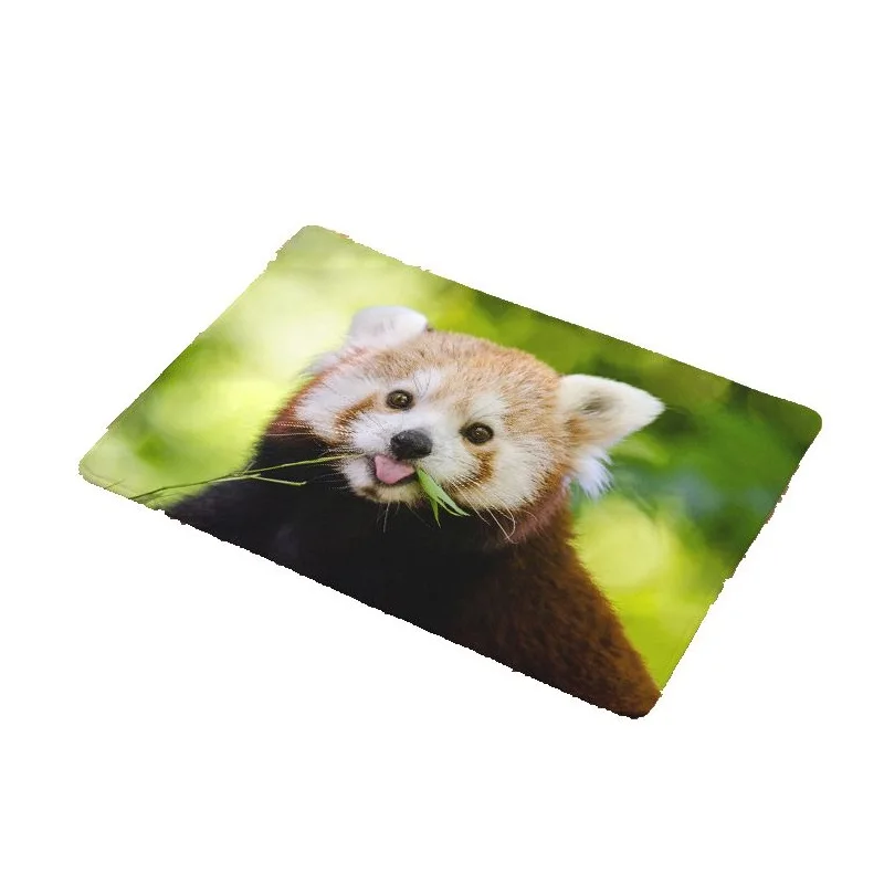 Милый ковер енот коврики для спальни гостиной детский диван украшение кровати