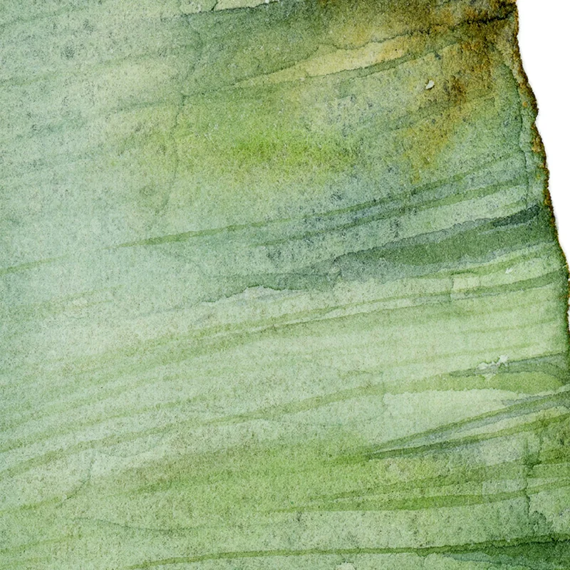 Настенная картина с изображением банановых листьев рисунок на холсте зеленое