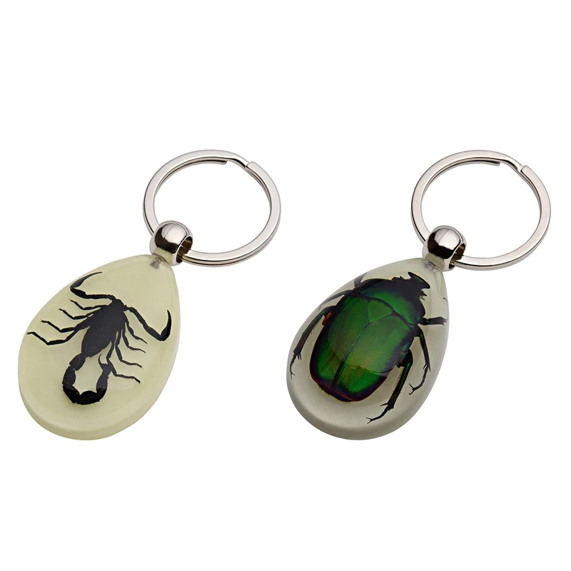 

2 Pcs Glow-In-The-Dark Real Insect Keychain, Green Chafer & Black Scorpion