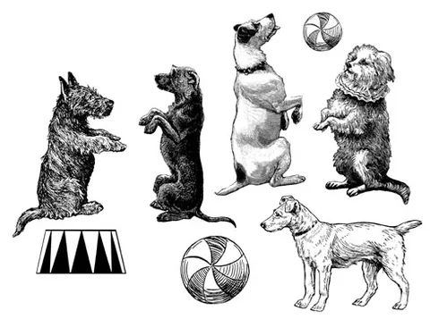 Прозрачные штампы с симпатичными собаками/силиконовые уплотнения для «сделай сам», фотоальбом для скрапбукинга/изготовления карт W1211