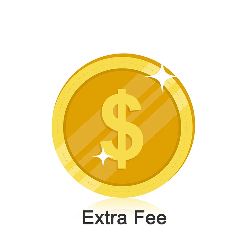 

extra fee payment link