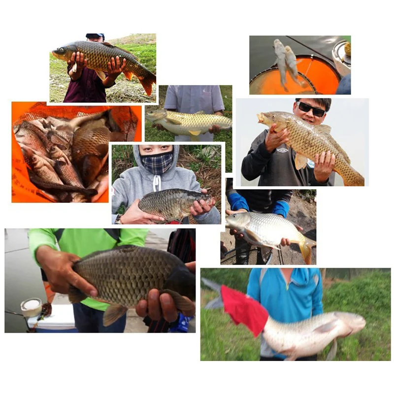 

Newly Barbed Fish Hook Set High Carbon Steel Fishing Hooks Fish Bait Holder Fishing Accessories S66