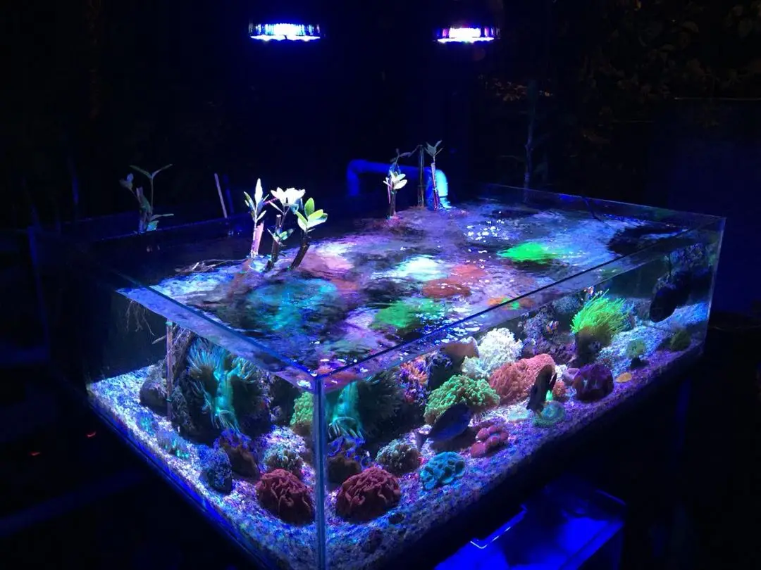 Светодиодная аквариумная лампа с полным спектром Par 38 E27 для коралловых рифов рыб