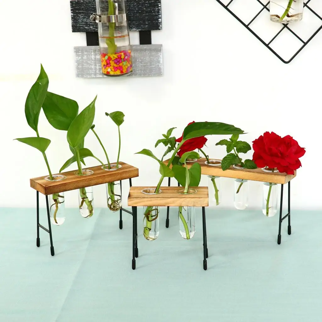 Прозрачная стеклянная ваза подвесной Террариум с ретро твердой деревянной