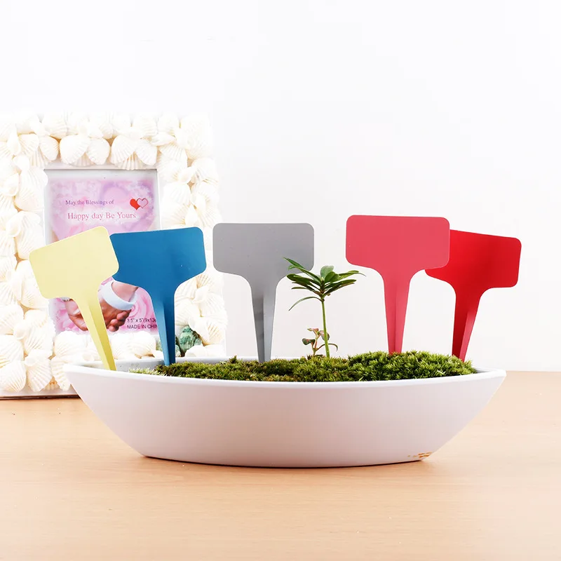 

100 Pcs New Listing Gardening Label Nursery Bonsai Label Plastic Plant Type T Label Plant Pot Planter Vegetable Label Tag
