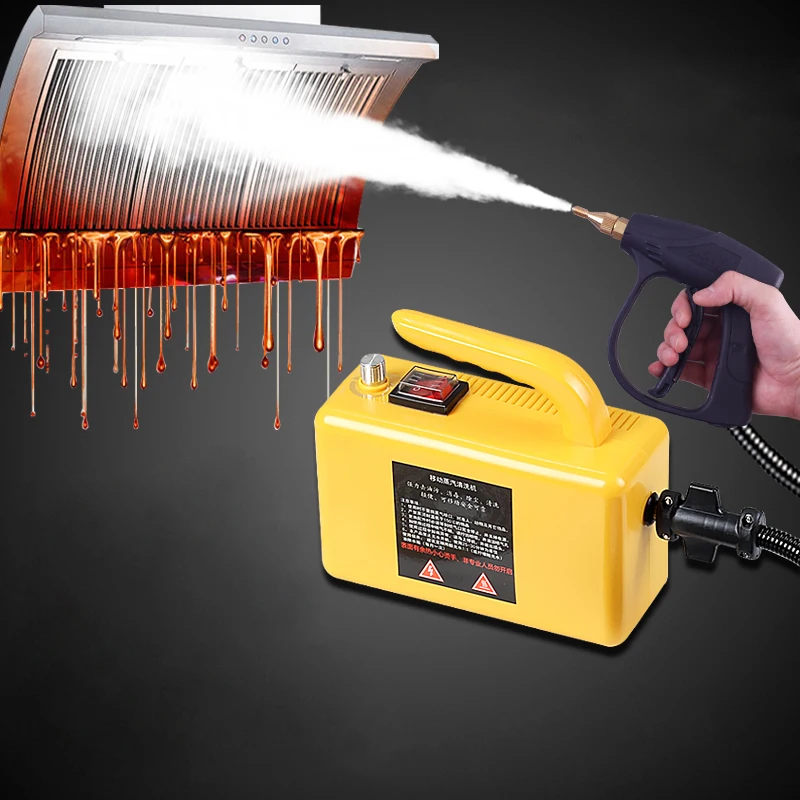 

High Temperature Steam Cleaning Machine Multifunction Household Air Conditioning Flue Gas Car Washer 2600W Sterilize Sterilizer