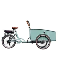 blue color pedal electric dutch adult tricycle cargo bike street vending cart for sale customizable