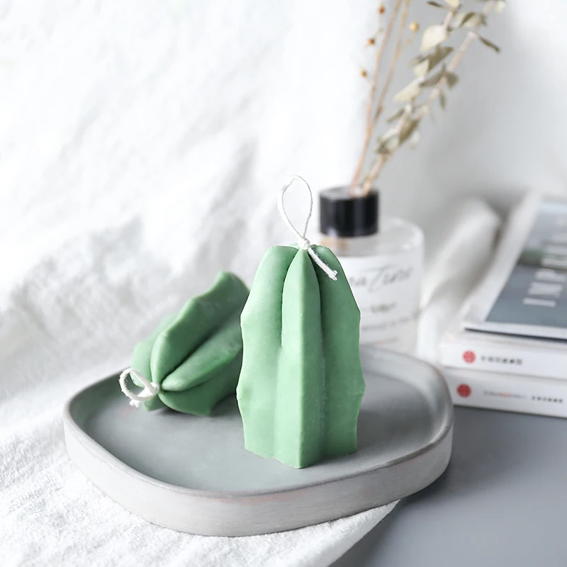 3D кактус суккуленты торты фотосвечи формы сделай сам гипсовая фотоформа