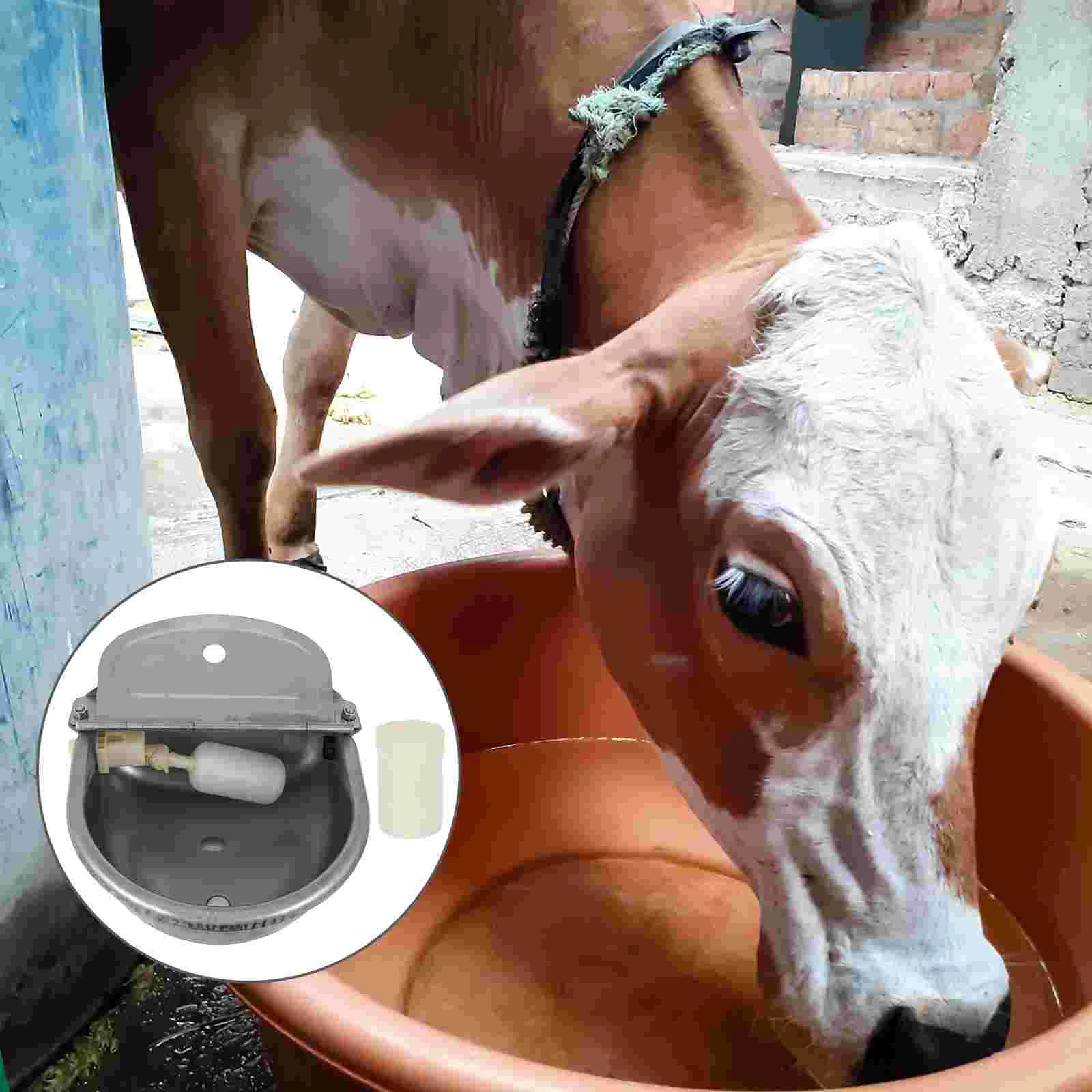 

Поилка для домашнего скота, поилка для крупного рогатого скота, водный фонтан