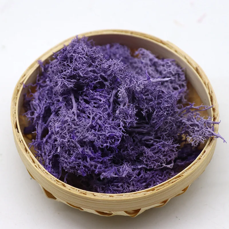 Цветочный материал мини садовый микро Ландшафтный подарок 200 г имитация растений