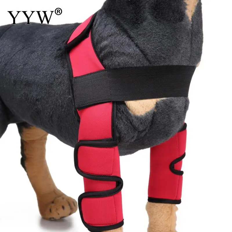 Товары для домашних животных уход за собаками наколенник леггинсы собак