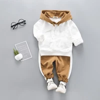 toddler baby boy hooded casual clothing set sweatshirt long sleeve autumn boys kids outfits tracksuit suits children clothes