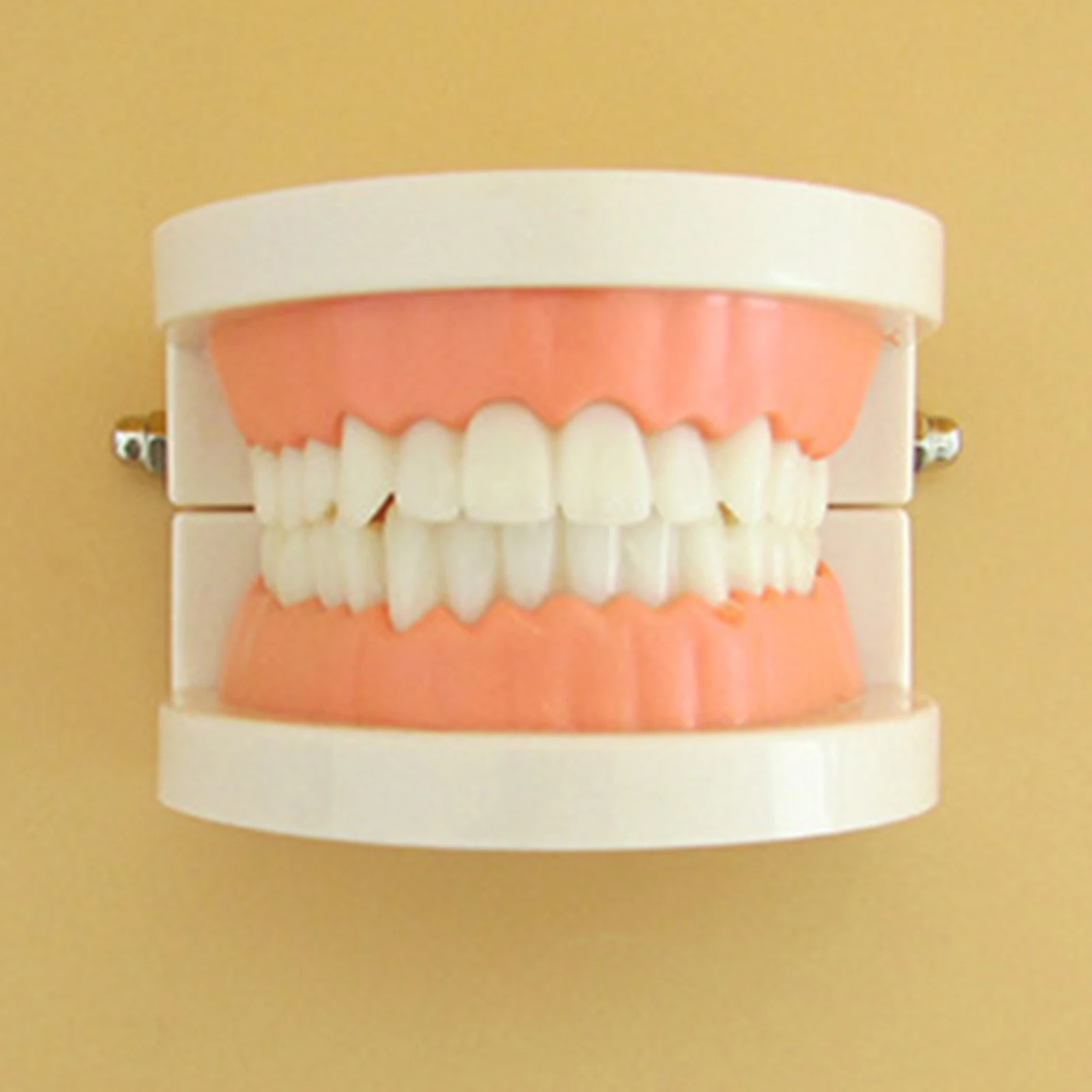 

Детали для занятой доски, модель зубов, развивающая игрушка Монтессори для детей 3 +