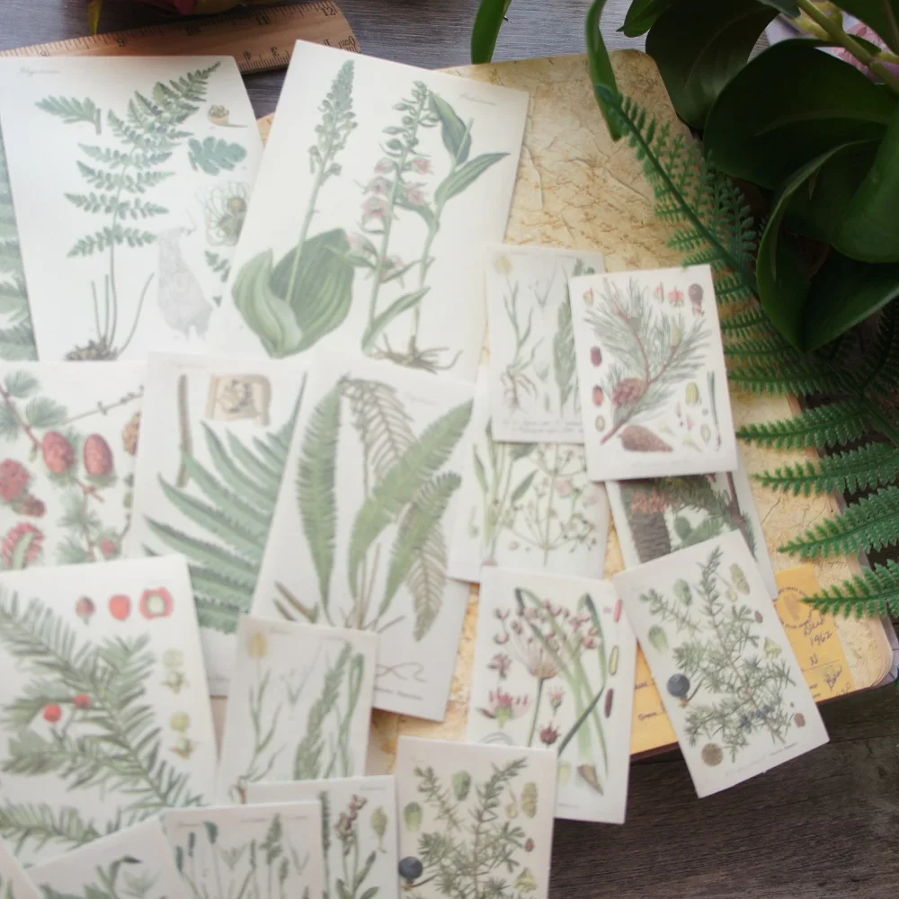 

58pcs Mix Size Illustration of Wild Fruits Fern Leaf Weed Style Paper Sticker Scrapbooking DIY Gift Packing Label Decoration Tag