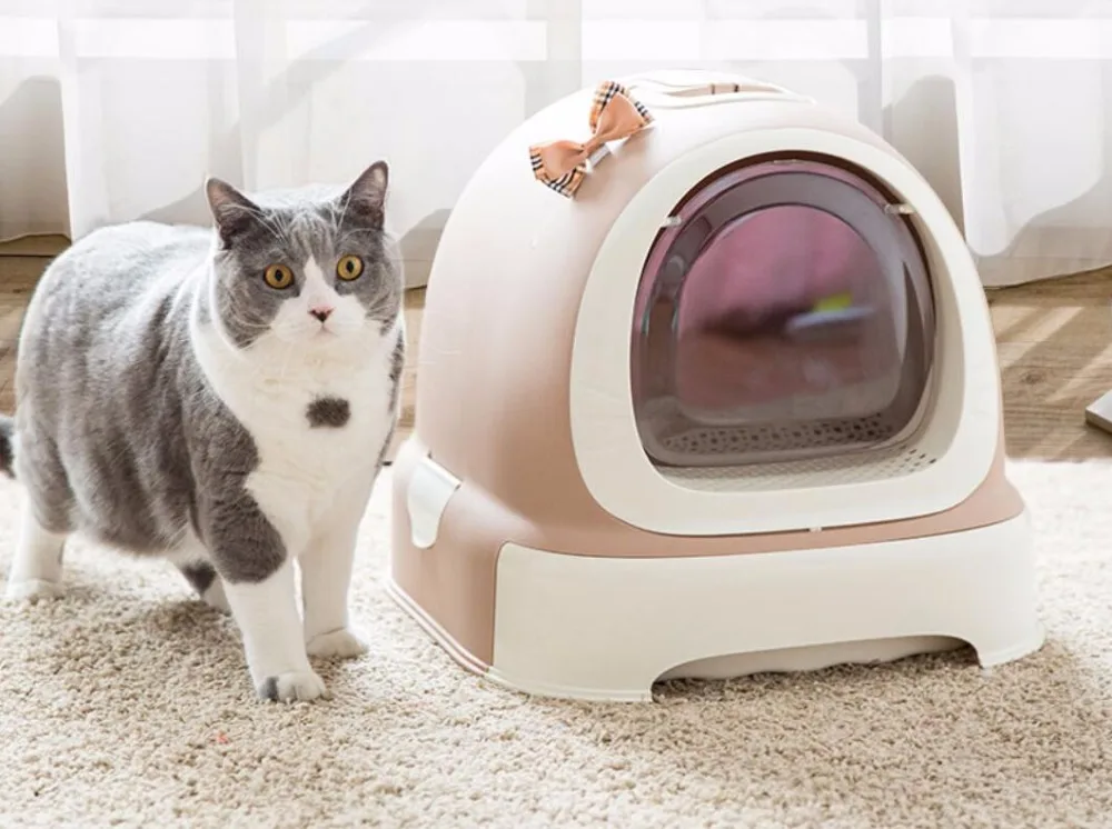 Домашняя кошка песочница котенок подстилка закрытый поднос Туалет постельные принадлежности Обучение 6 цветов Съемная подстилка для маленького, небольшого питомца аксессуары
