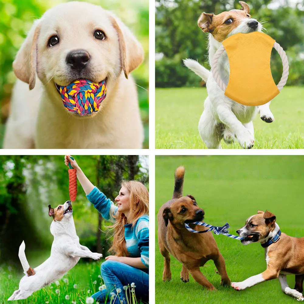 10 шт. набор игрушек для собак маленькая собака молярные зубы чистая