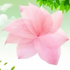 20 шт.компл. натуральный скелет, листья, вены, сушеные материалы ручной работы сделай сам, цветы для дизайна ногтей, материал для вечеринки, домашний декор