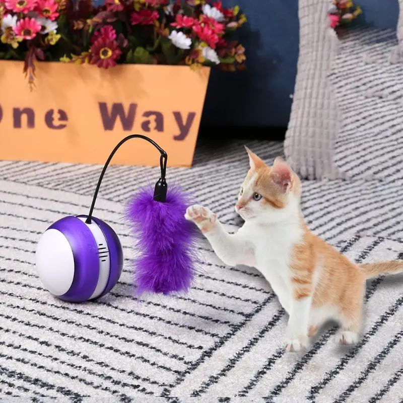 Cat Toy Classic Colors and Simple Durable Design Electric Ball Laser Light Feather Stick Interactive Teasing Pet Supplies | Дом и сад