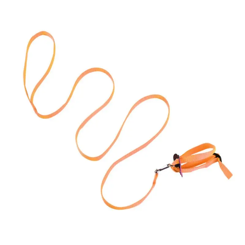 

Portable New Parrot Bird Hamster Turtle Lizard Traction Rope Reins 8-shaped Pet Strap Leash wholesales